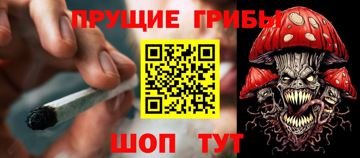 Галлюциногенные грибы MAGIC MUSHROOMS  Вход с VPN  Гусиноозёрск 