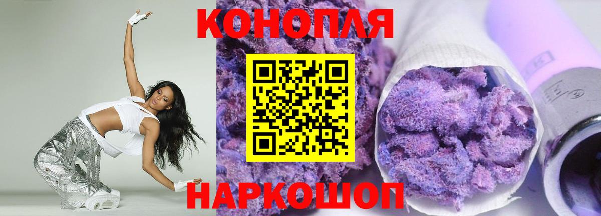 Конопля сатива Гусиноозёрск
